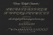 Ocean Delight a Stylish Script Font, a Script Font by Blankids Studio (Thumbnail 10 of 13)