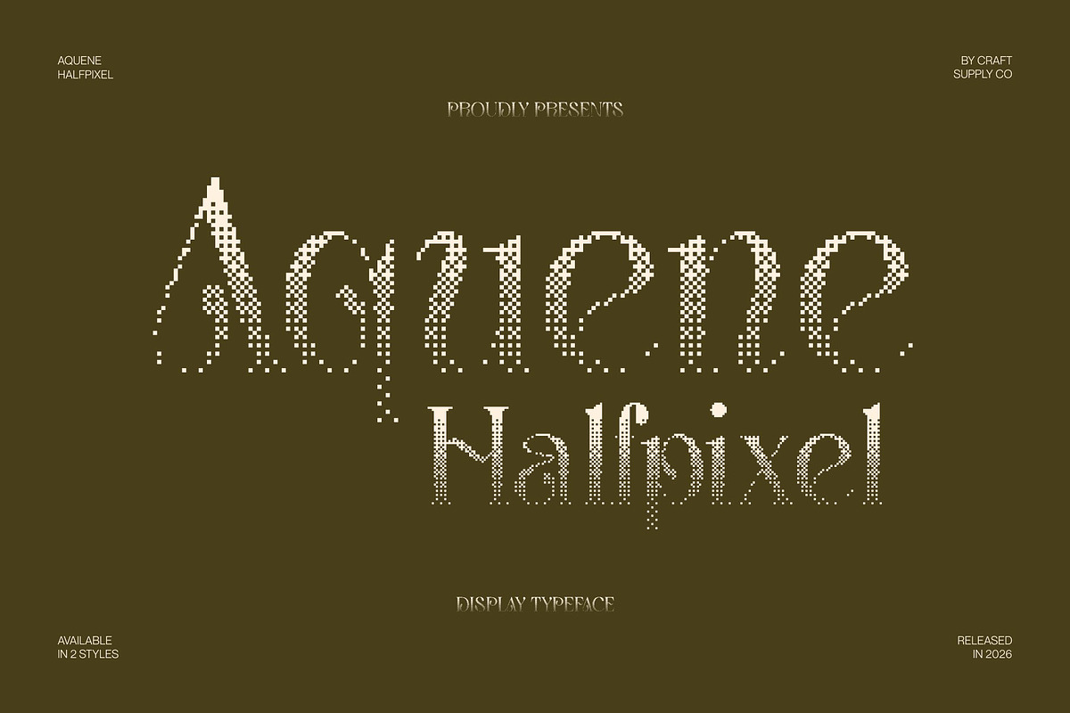 Aquene Halfpixel, a Serif Font by Craft Supply Co. (Photo 1 of 8)