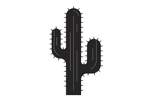 Desert cactus