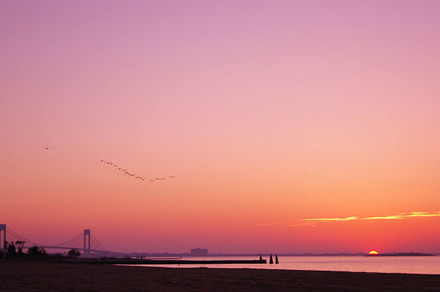 Rising sun containing morning, sun, and rise