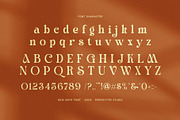 Siska Elegant Serif Font, a Serif Font by Perfectype (Thumbnail 7 of 8)