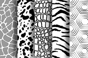 Vector seamless animal patterns, a Pattern Graphic by Iryna Denysova (Thumbnail 2 of 9)