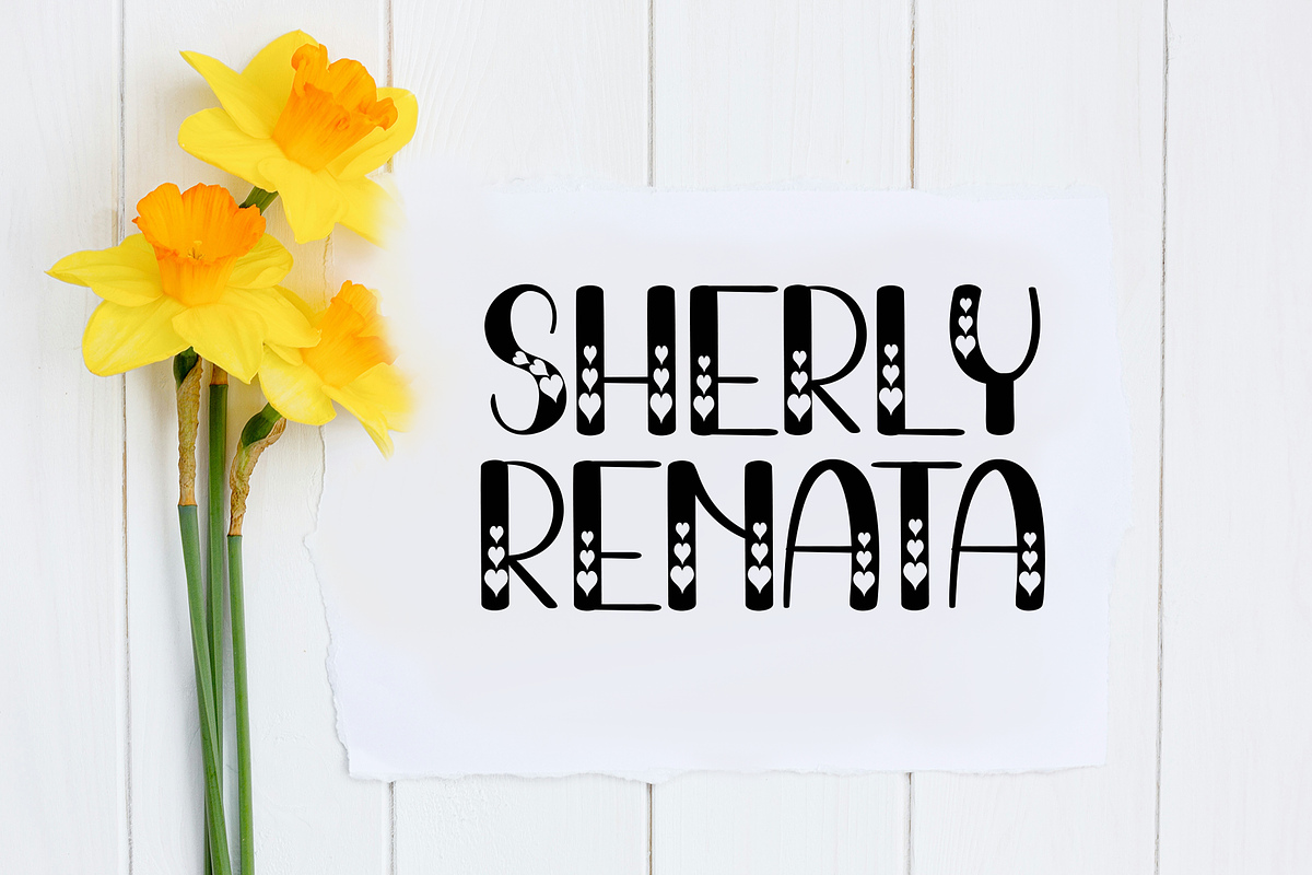 Magnolia, a Script Font by InermediaSTUDIO (Photo 3 of 8)