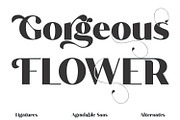 Agradable Sans | Stunning Sans Serif, a Sans Serif Font by MchCrafter (Thumbnail 11 of 15)