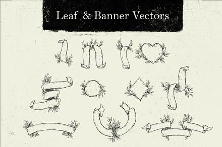 Leaf & Banner Vectors
