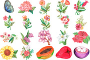 99 PHILIPPINE ICONS! Watercolor PNG, an Illustration by LilyBoo Clipart (Thumbnail 6 of 6)