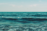 Coastal bundle, 15 photos, a Nature Photo by Frostroomhead (Thumbnail 15 of 16)