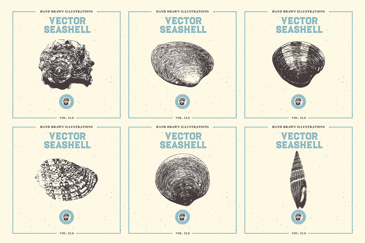 VECTOR SEASHELL HAND DRAWN BUNDLE 22, an Illustration by pawellpi (Photo 7 of 10)