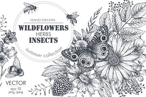 Insects And Wildflowers Vector Set