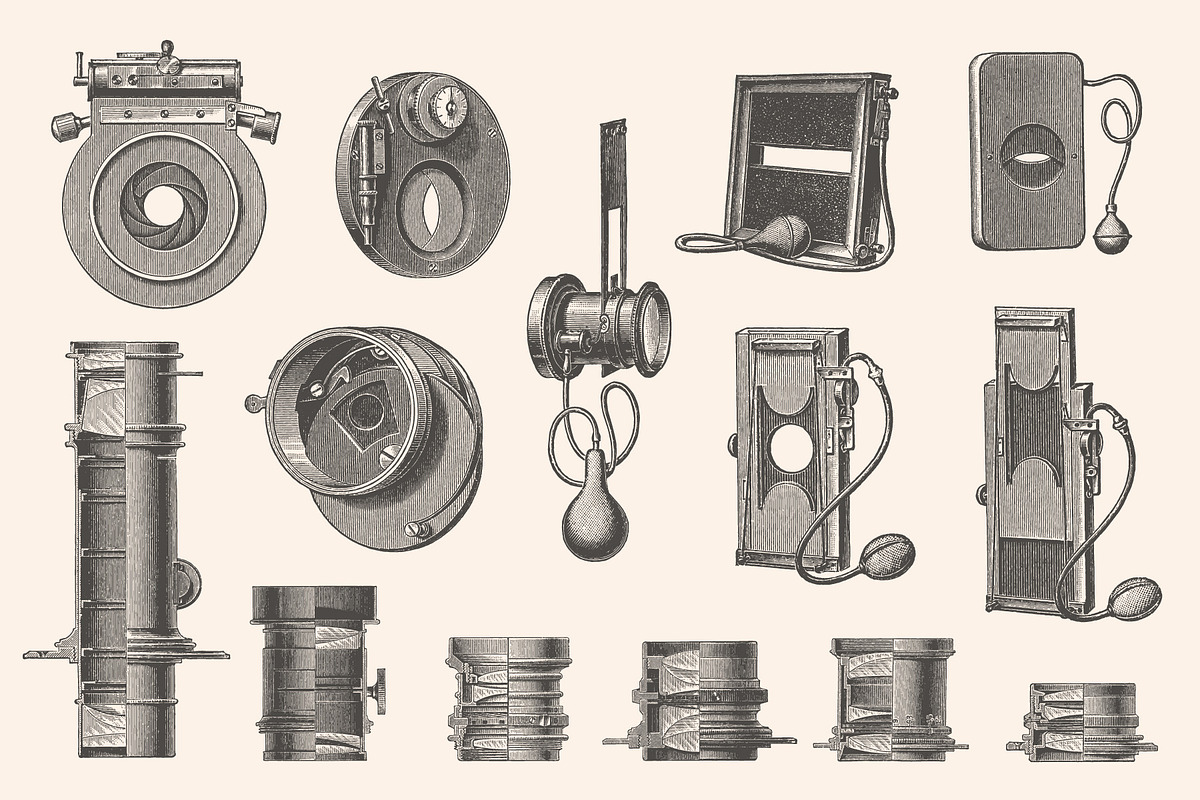 Photography - Vintage Illustrations, an Illustration by Graphic Goods (Photo 11 of 11)