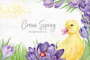 Crocus Clipart Collection, an Object Graphic by Kate Galunga Artstore (Thumbnail 1 of 7)