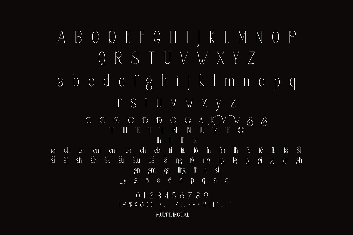 Safing ligature serif typeface, a Serif Font by yaqublekker (Photo 9 of 9)