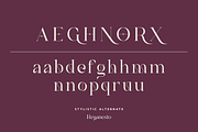 Reganesto - Modern Serif Typeface, a Serif Font by Haksen (Thumbnail 9 of 11)