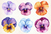 Viola Flower Bloom Clipart, an Illustration by Dream Creation (Thumbnail 5 of 6)