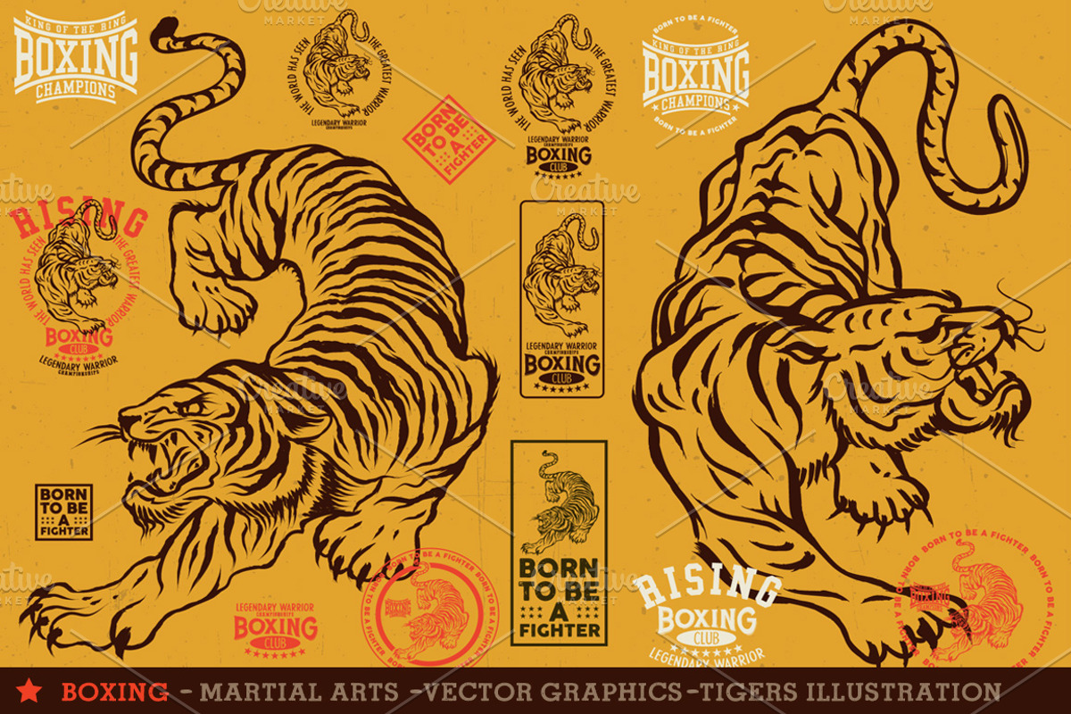 BOXING, an Animal Illustration by Artistic & Unique (Photo 1 of 9)