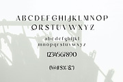 Verniq | Elegant Modern Sans Serif, a Sans Serif Font by Artdez (Thumbnail 4 of 4)