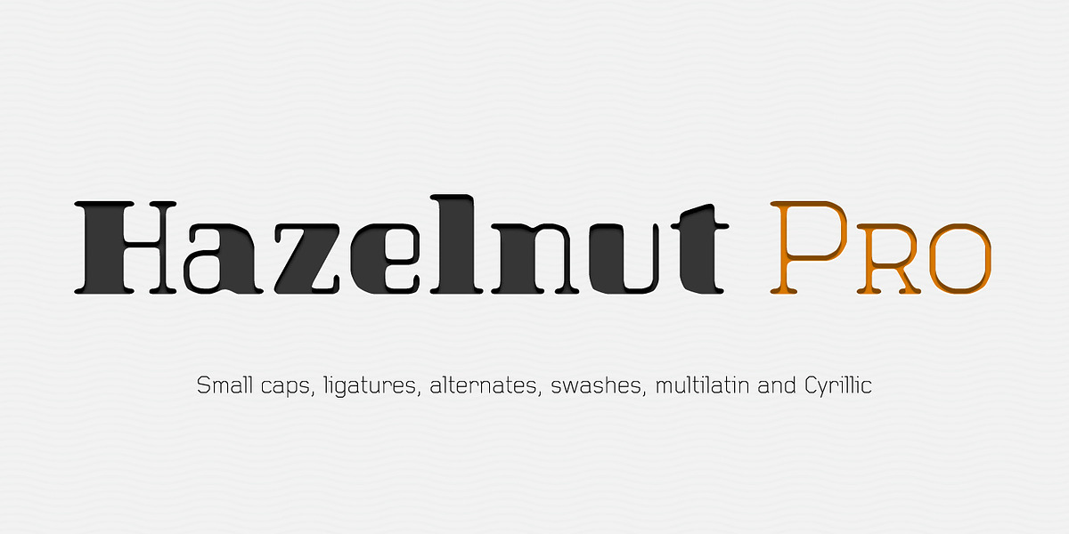 Hazelnut Pro, a Serif Font by Eimantas Paskonis (Photo 1 of 5)