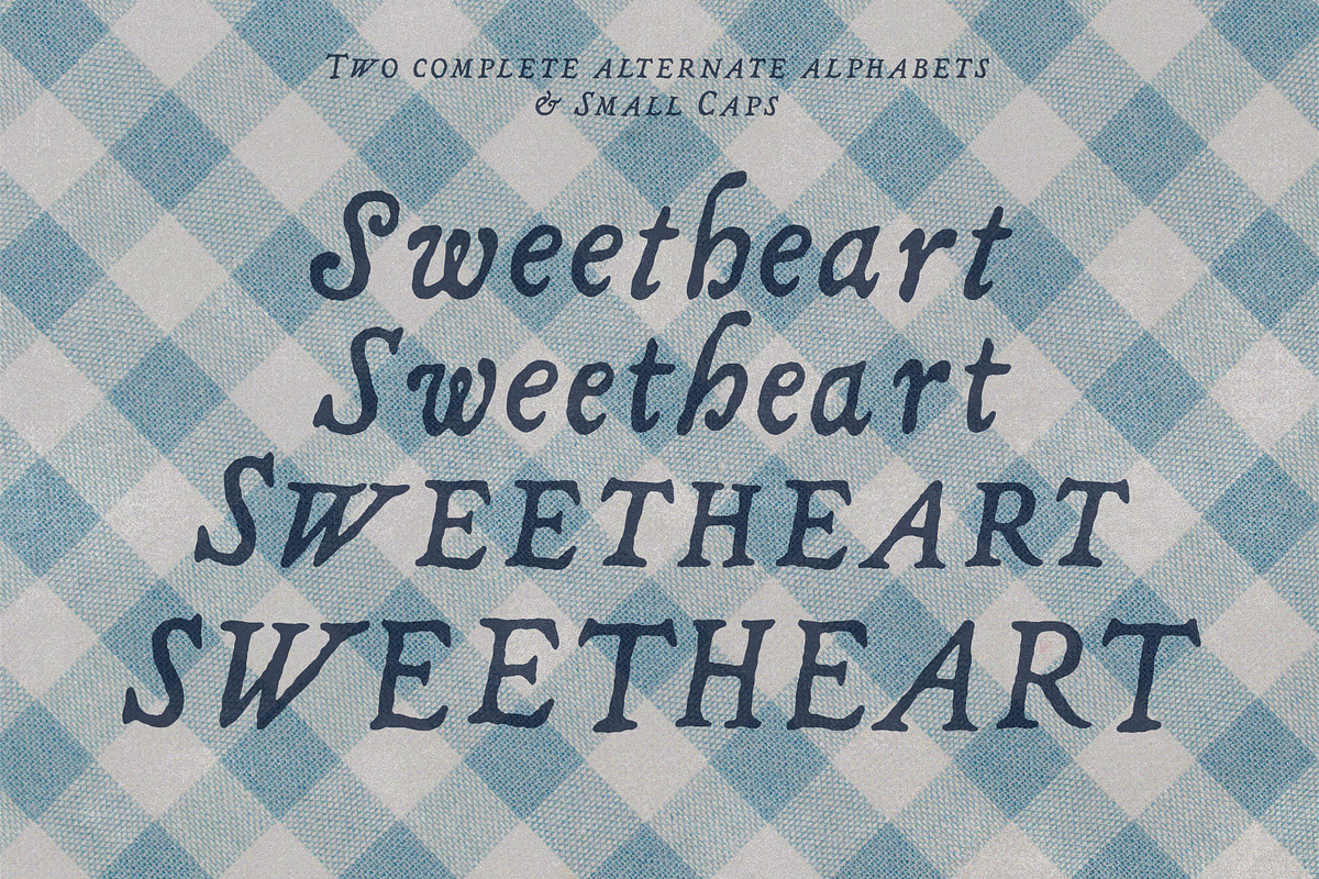 Wandering Letters Handwritten Font, a Handwritten Font by CarmineType (Photo 15 of 20)