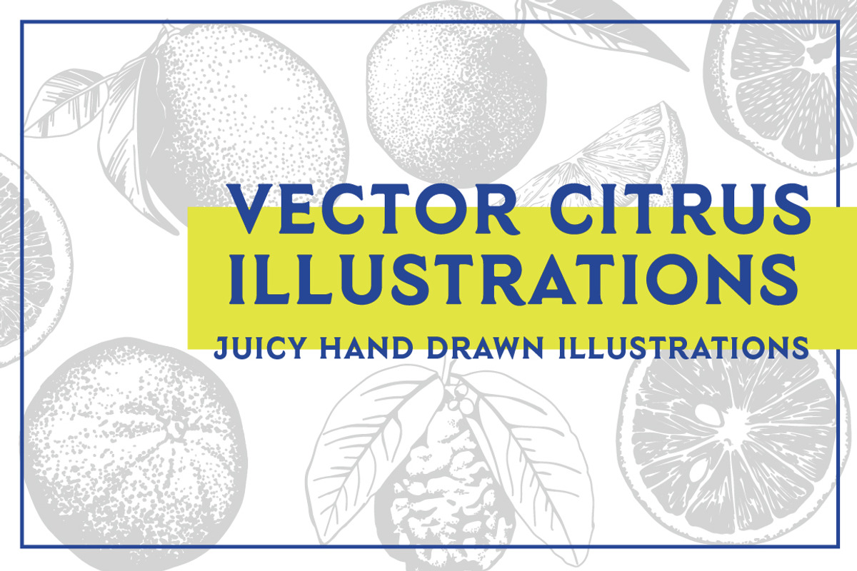 Vector Citrus Illustrations, an Illustration by Instinct Design Co (Photo 1 of 3)
