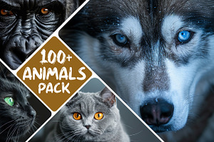 Animals Pack Over 100 UltraHD images, an Animal Photo by Pixels.Craft