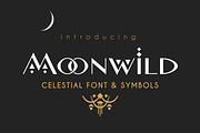 Modern Display Font Bundle, a Sans Serif Font by Struvictory.art (Thumbnail 20 of 31)