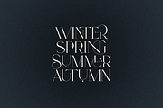 SALE! Type Maestro + Quasar font duo, a Serif Font by VP Fonts (Thumbnail 5 of 18)