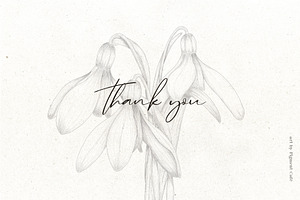 Snowdrop Flowers & Card Templates