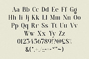 Vania - Elegant Branding Typeface, a Serif Font by Sohel Studio (Thumbnail 10 of 11)