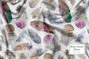 Watercolour Feathers Collection., a Decorative Illustration by VetaDesign (Thumbnail 6 of 8)