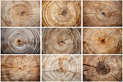Cut Wood Texture Background, a Texture Graphic by Forhadx5 (Thumbnail 6 of 8)