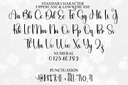 Flourish, a Handwritten Font by InermediaSTUDIO (Thumbnail 4 of 8)