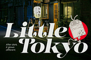 Dynasti Display Font, a Serif Font by Megatype (Thumbnail 8 of 11)