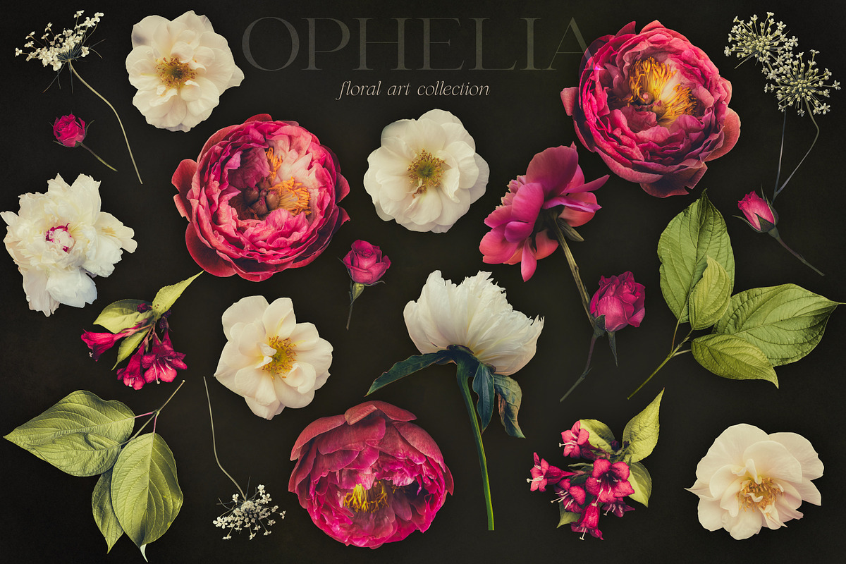 Ophelia Dark Moody Florals, an Object Graphic by Eclectic Anthology (Photo 11 of 14)