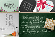 THE COLLECTION BUNDLE, a Script Font by danti (Thumbnail 17 of 31)