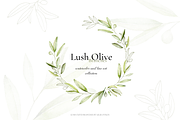 Olives – Watercolor & Line Art, a Decorative Illustration by Liliia Polos Illustration (Thumbnail 1 of 12)