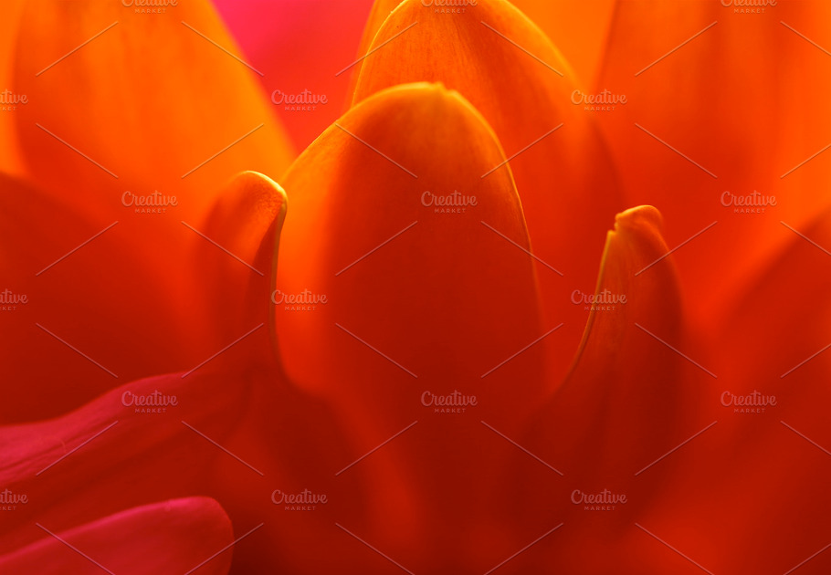 Soft Containing Flower Petals And Orange