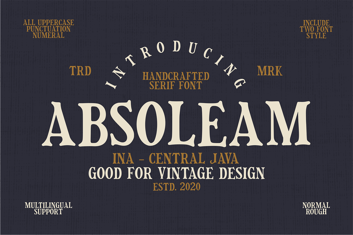 Absoleam Vintage Rough, a Sans Serif Font by 24Design Studios (Photo 2 of 7)