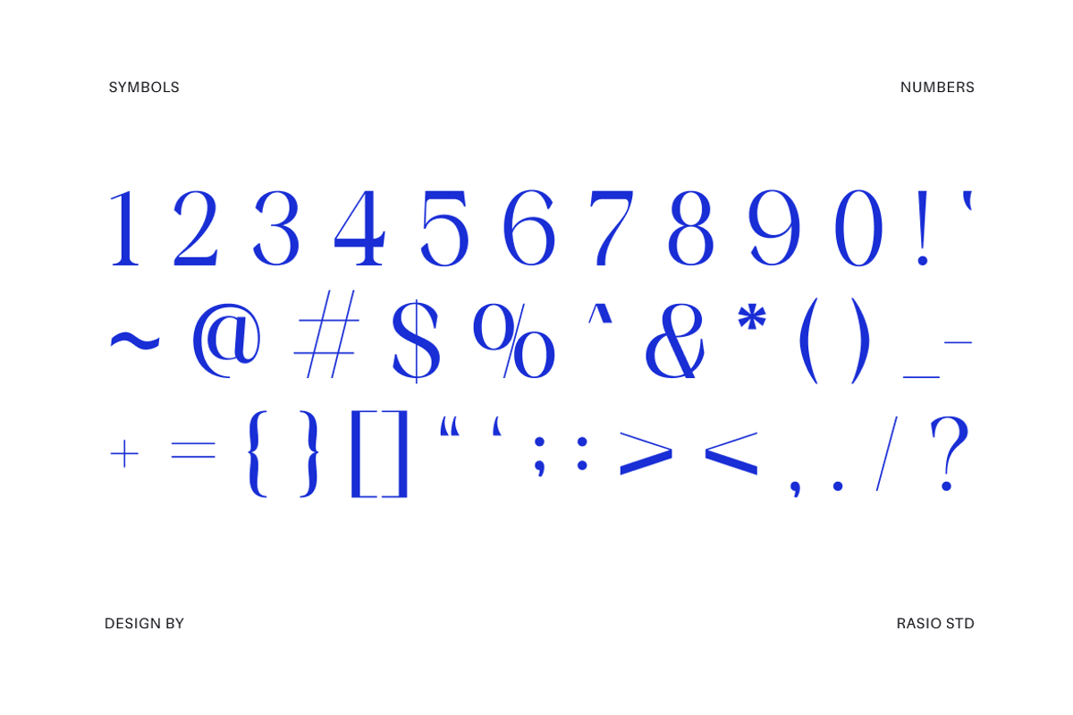 Vorello Modern Editorial Serif Font, a Serif Font by Rasio Studio (Photo 3 of 9)