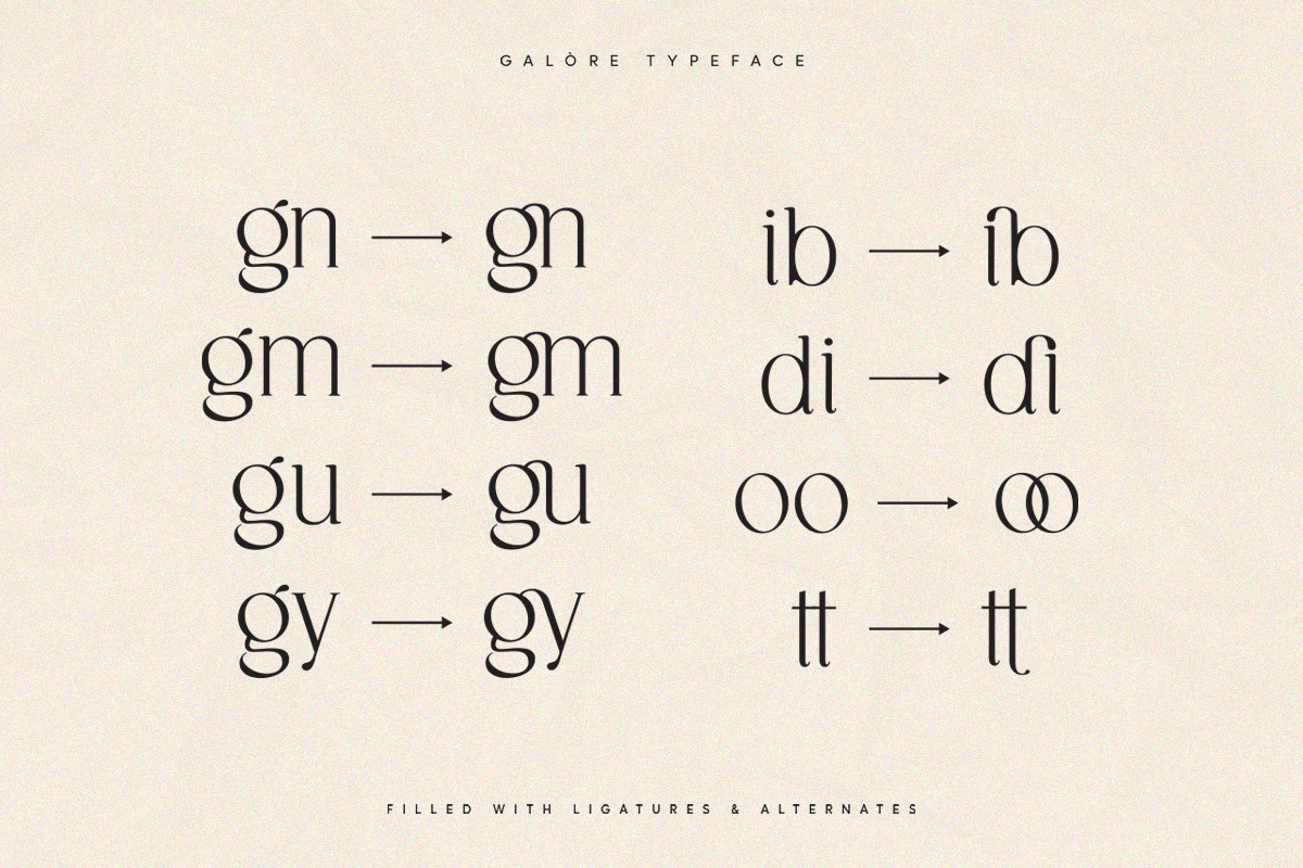 Galore - Elegant Modern Serif, a Serif Font by TypeFounder (Photo 8 of 12)