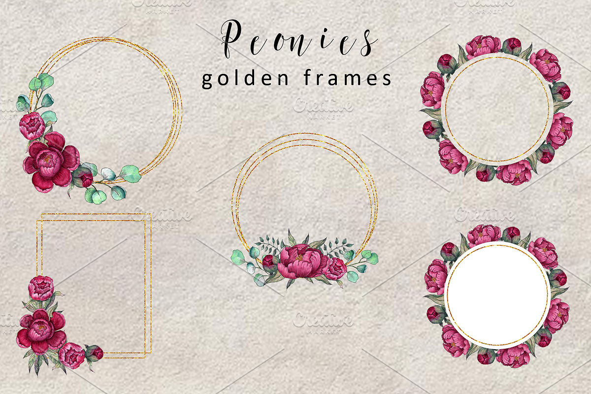 Peonies. Watercolor clipart, a Decorative Illustration by TetianaArt (Photo 6 of 11)