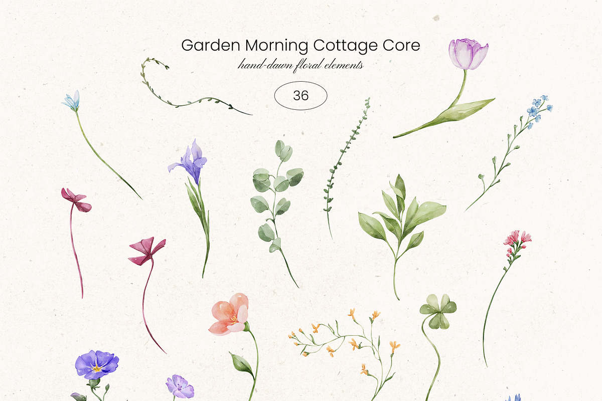Garden Morning Cottage Core set, a Decorative Illustration by Yuliia Lashevska (Photo 14 of 17)