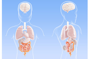 3d gastrointestinal tract disease -, a Healthcare Illustration by Marozhkastudio