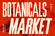 Chreed: 36 Dynamic Styles, a Sans Serif Font by Glyphminds Studios (Thumbnail 3 of 11)