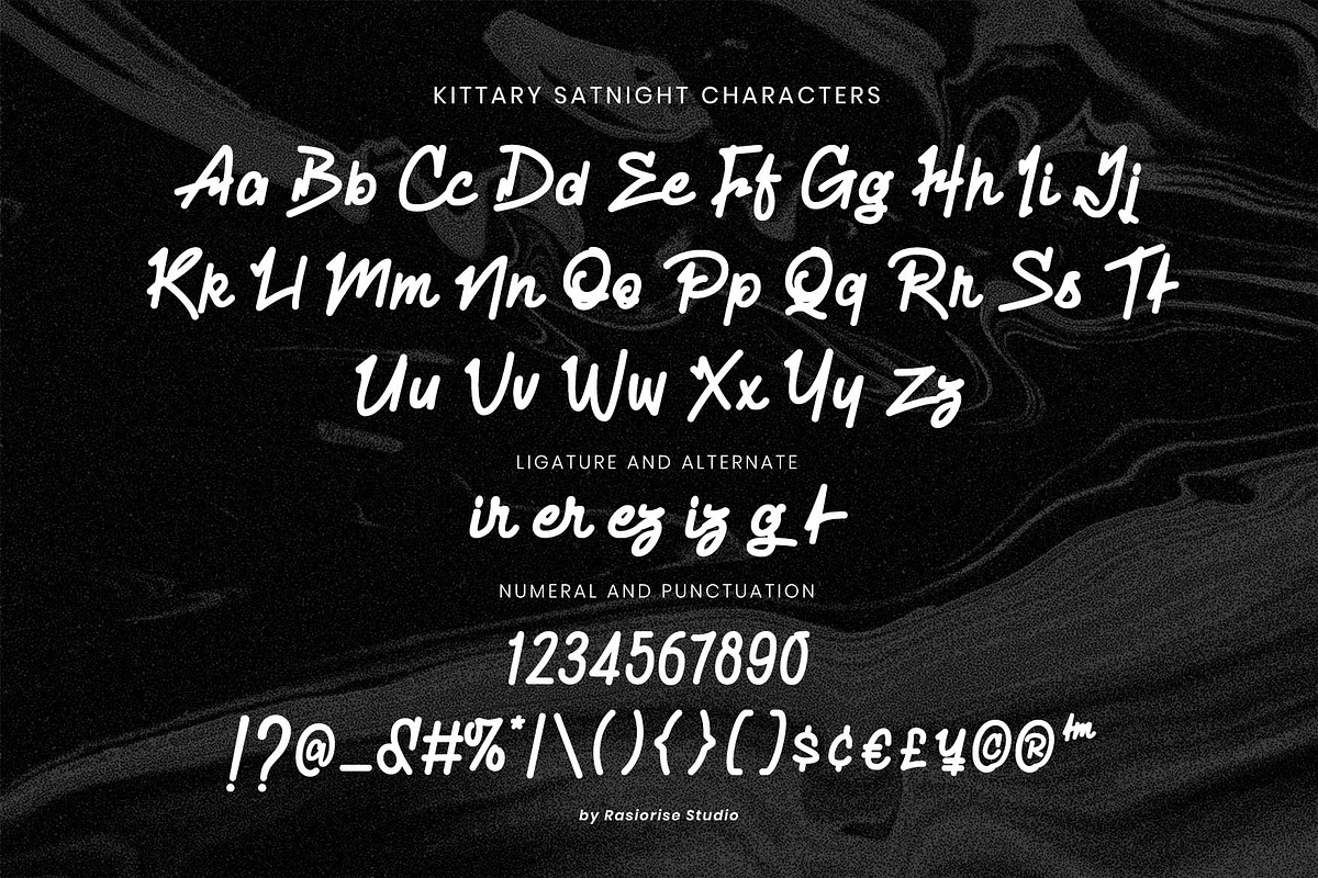 Kittary Satnight a Script Font, a Script Font by Rasiorise Studio (Photo 4 of 12)