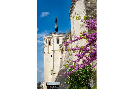 Chateau of Amboise during springtime