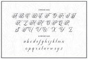 Alfiany Dek | Tattoo Style, a Script Font by Denustudios (Thumbnail 9 of 12)