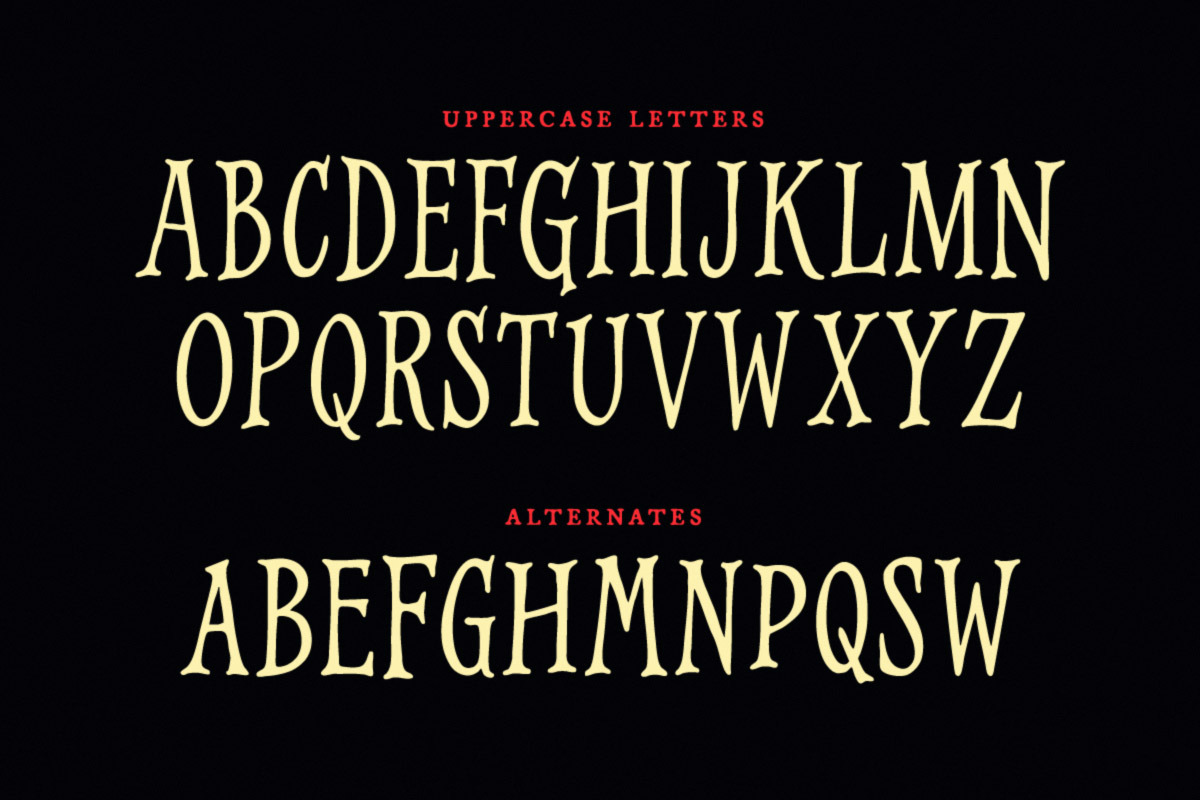 Cobweb Typeface, a Font by Tugcu Design Co. (Photo 2 of 3)