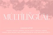 Histeagin Serif, a Serif Font by Yahya Type (Thumbnail 25 of 25)