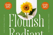 Quiselle Elegant Display Serif, a Serif Font by timelesstype.co (Thumbnail 8 of 20)