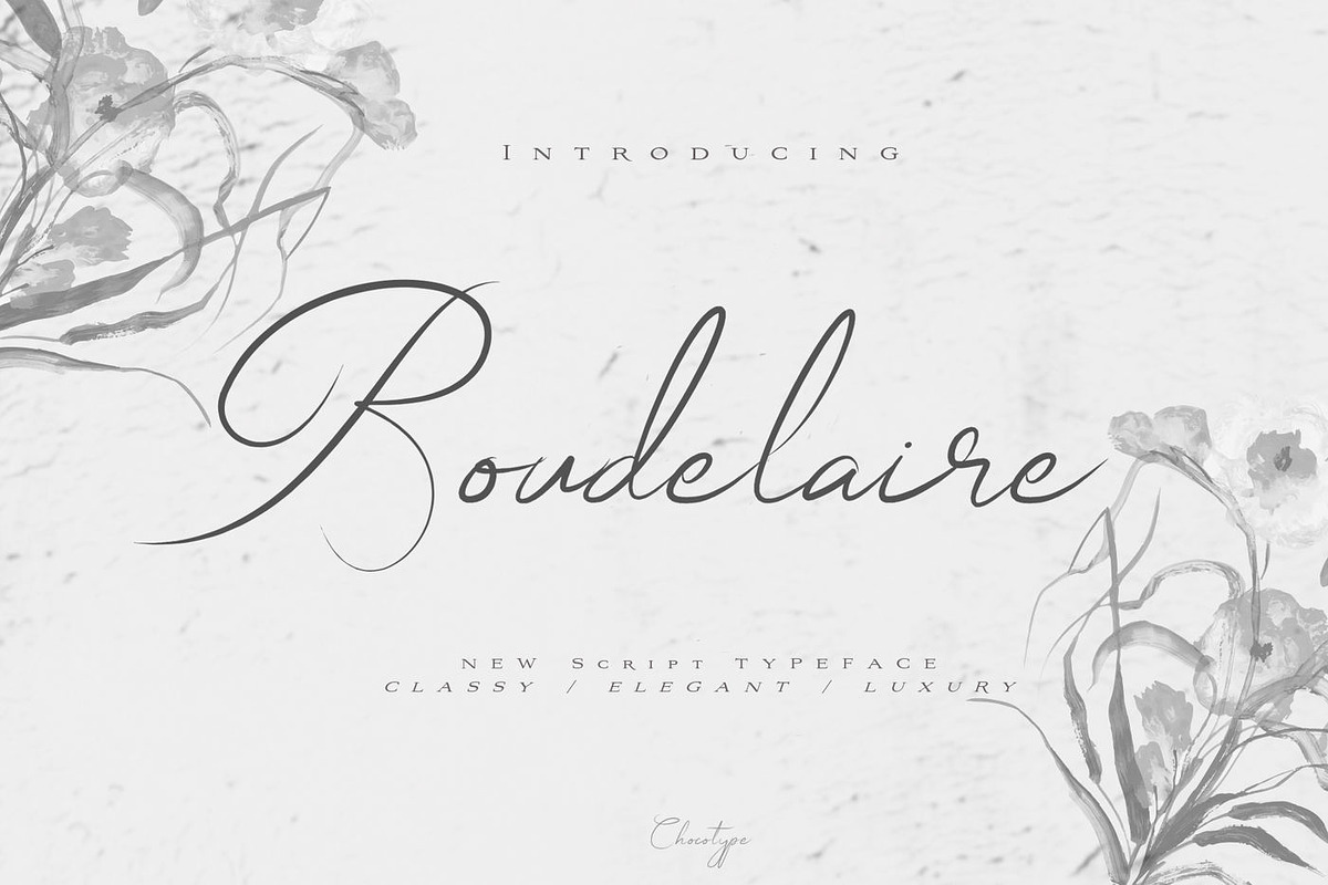 Wonderfull Font Collection, a Script Font by Chocotype Std (Photo 13 of 51)